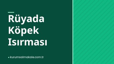 Rüyada Köpek Isırması
